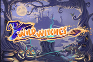 Machine a sous 5 rouleaux Wild Witches